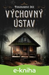 Výchovný ústav