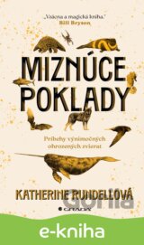 Miznúce poklady