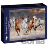 Puzzle Konské dostihy