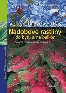 Nádobové rastliny do bytu a na balkón - Veľký obrazový atlas