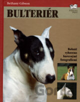 Bulteriér
