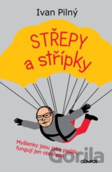 Střípky a střepy