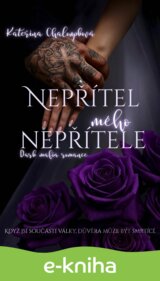 Nepřítel mého nepřítele