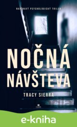Nočná návšteva