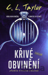 Křivé obvinění