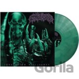 Tribal Gaze:  Inveighing Brilliance (LP)