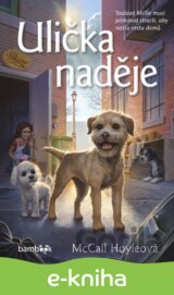 Ulička naděje