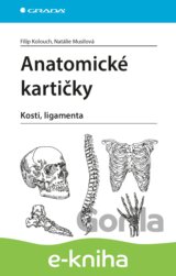 Anatomické kartičky