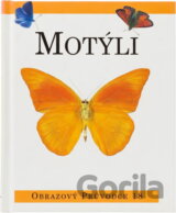 Motýli