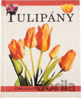 Tulipány
