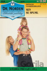 Sen se splnil