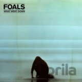 Foals: What Went Down (140Gr.) LP