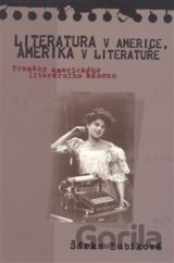 Literatura v Americe, Amerika v literatuře