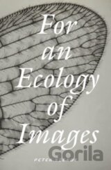 For an Ecology of Images