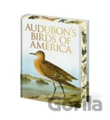 Audubon's Birds of America