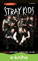 Příběh Stray Kids