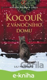Kocour z vánočního domu