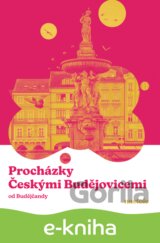 Procházky Českými Budějovicemi