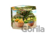 LIRAN Orchard hexagon 8 x 6 x 1,5g
