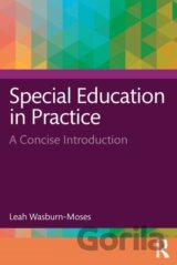 Special Education in Practice