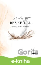 Neodcházet bez křídel