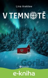 V temnotě