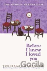 Before I Knew I Loved You