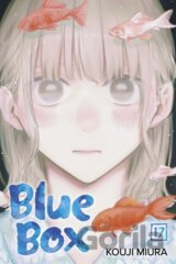 Blue Box, Vol. 17