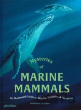 Mysteries of Marine Mammals