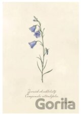 Print zvonček (rozmer A4)