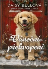 Vánoční překvapení : příběh, který zahřeje u srdce