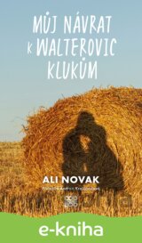 Můj návrat k Walterovic klukům