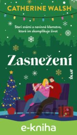 Zasnežení