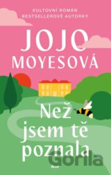 Než jsem tě poznala