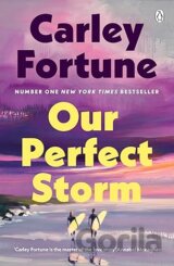 Our Perfect Storm