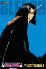 Bleach 13