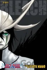 Bleach 14