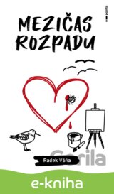Mezičas rozpadu