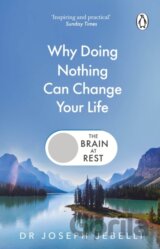 The Brain at Rest