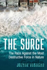 The Surge