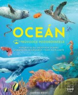 Průvodce pozorovatele: Oceán