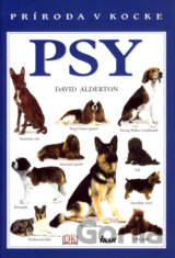 Psy