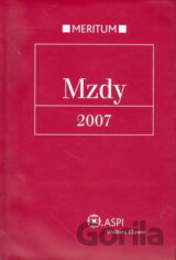 Mzdy 2007