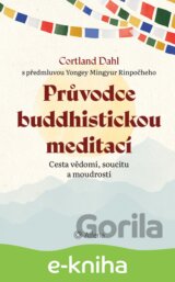 Průvodce buddhistickou meditací