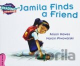 CAMBR READ ADV PINK A