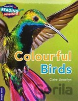CAMBR READ ADV PURPLE