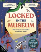 Locked in the Museum