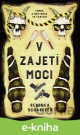 V zajetí moci