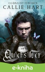 Quicksilver (slovenský jazyk)