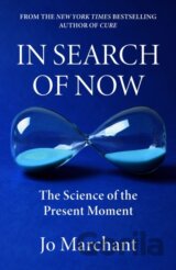 In Search of Now